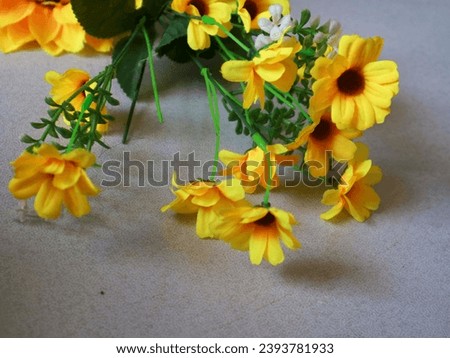 some very beautiful small sunflowers