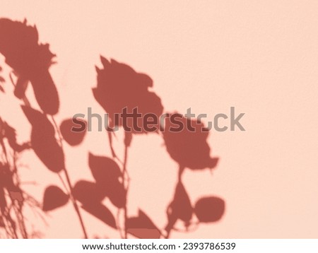 Shadow of a rose on a house wall in orange light for a minimalist style background.