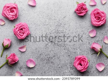 Pink roses on concrete background with copy space.