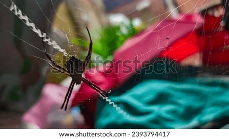 A black spider in a web against a background of colorful fabric