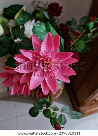 
A pink flower in a pot on the tiles in bedroom showpiece Royalty-Free Stock Photo #2393810111