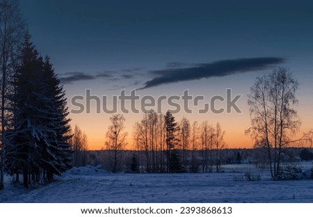 cold winter lanscape and the beautiful colors of the sunset selektive focus