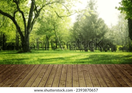 Empty wooden table in park on sunny day. Space for design