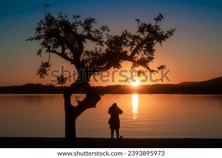 Silhouette of a person under a tree admiring the sea impregnated with the orange colors of dawn. Harmony and depth of color give an image rich in meaning.