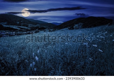village in mountains behind the grassy meadow with herbs on hillside at night. wonderful countryside scenery in full moon light