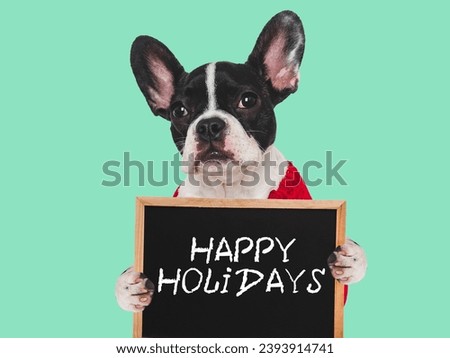 Happy Holidays. Lovable puppy and sign with a congratulatory inscription. Close-up, indoors. Studio shot. Congratulations for family, relatives, loved ones, friends and colleagues. Pets care concept
