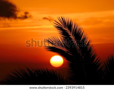 Beautiful sunset. Italian seascape. Elba Island. Wonderful background. Black silhouette. Royalty-Free Stock Photo #2393914815