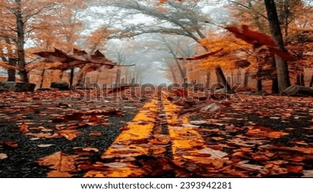 Road with tree leaves picture 