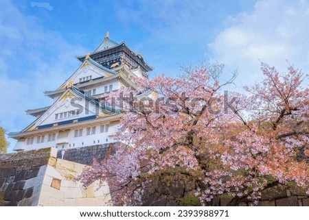 Osaka Castle in Osaka, Japan is one of Osaka's most popular hanami spots during the cherry blossom season Royalty-Free Stock Photo #2393988971
