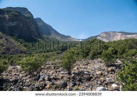 Beautiful scenery Papandayan mountain peak, volcanic area, Papandayan mountain hiking trail