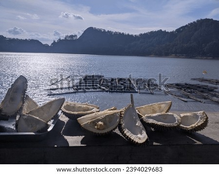 durian skin that has been peeled and the fruit has been eaten is placed near the lake ngebel which is very famous in Indonesia, especially in East Java, Ponorogo district with its beautiful views. 