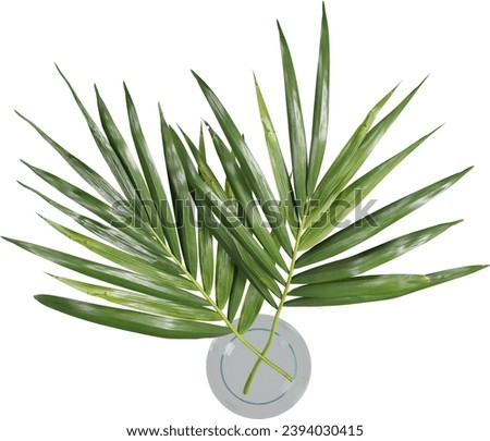 Top view of palm branches in glass vase