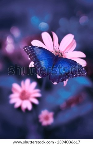 Pink summer flowers and butterfly blue morpho in a fairy garden. Macro artistic image. Selective focus.