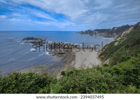 rocky beach cove with lush greenery on the cliffs under a beautiful blue sky