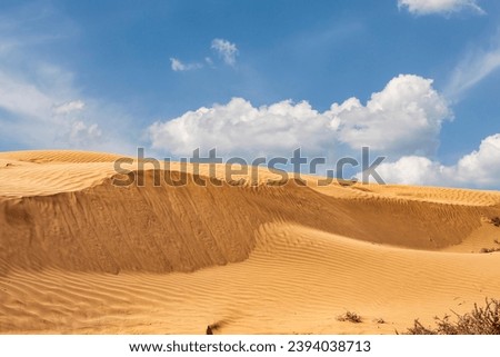 A desert plant in the sands of the Big Brother dune in the Astrakhan region. Russia Royalty-Free Stock Photo #2394038713