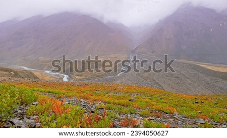 Beautiful Pin Valley of Lahaul-Spiti, India Royalty-Free Stock Photo #2394050627