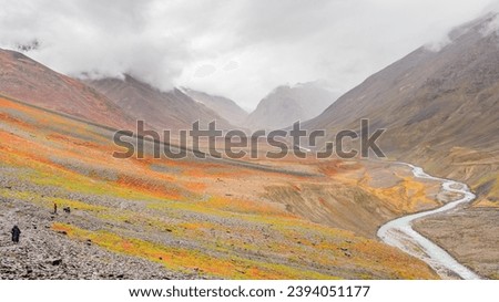 Beautiful Pin Valley of Lahaul-Spiti, India Royalty-Free Stock Photo #2394051177