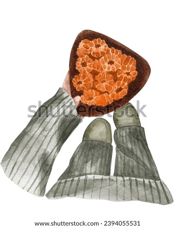 Watercolor human hands holding  a plate of peeled tangerines. Winter illustration clip art set. Cozy winter illustration. Orange, grey, brown.