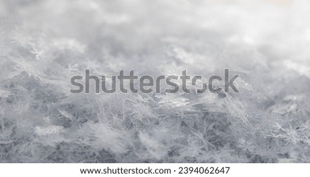 Snowy winter background. Beautiful snowflakes close up. Beauty in nature. Wonderful nature details. Natural winter image. Horizontal format. Selective focus.