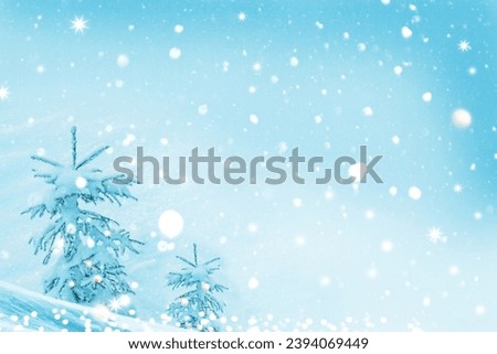 Christmas tree in the snow. Landscapes. Frozen winter forest with snow covered trees. outdoor