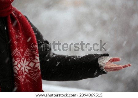 The girl catches snowflakes. A very beautiful scarf with an ornament cozy complements the picture.