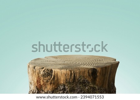 Tree Table wood Podium in farm display for food, perfume, and other products on blue background. Eco-friendly design and free copy space for design Royalty-Free Stock Photo #2394071553