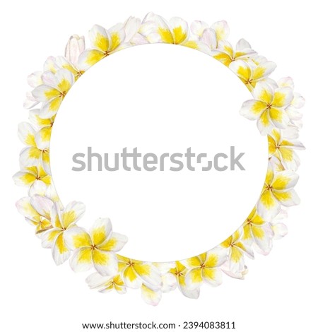 White frangipani wreath. Watercolor hand drawn clip art of exotic flower plumeria. Tropical painting for wedding invitations, spa and massage salon prints, cosmetic packing, travel guides
