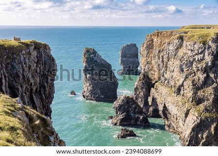Elegug Stack Rocks, Pembrokeshire, Wales, UK Royalty-Free Stock Photo #2394088699