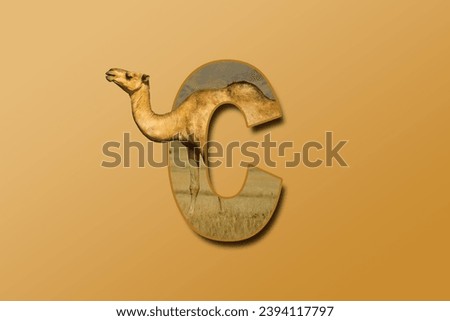 The letter C is embedded with a picture of the animal Camel. Great animal background.
