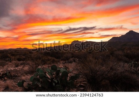 Red sunset over stone desert in Texas, Big Bend National Park, USA