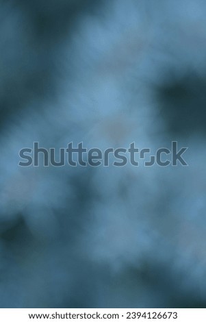 blurred background of blue Christmas tree branches, blue branches of a Christmas tree close-up,  short needles of a coniferous tree close-up on a green background, texture of needles of a Christmas tr