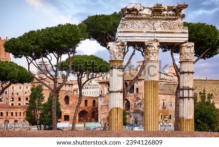 Roman Forum in Rome, Italy. Antique structures with columns among trees. Wrecks of ancient italian roman town. Sunrise Rome famous architectural landmark. Travel destinaion. Royalty-Free Stock Photo #2394126809