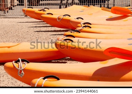 Waterproof kayaks and canoes with paddles are lined up in the waterfront parking area. Sports boats in a row close up. Summer water sports equipment