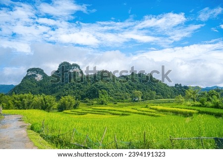 Aerial landscape in Quay Son river, Trung Khanh, Cao Bang, Vietnam with nature, green rice fields and rustic indigenous houses. Near Ban Gioc Waterfall. Travel and landscape concept.
