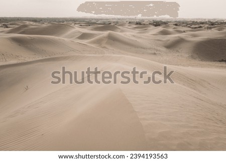 Desert sand, beautiful sand desert landscape at sunset, Inner Mongolia, China. Background image with copy space for text, black and white