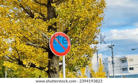 No parking sign in green nature.Thailand No parking sign. No parking sign in gingko leaf in the background