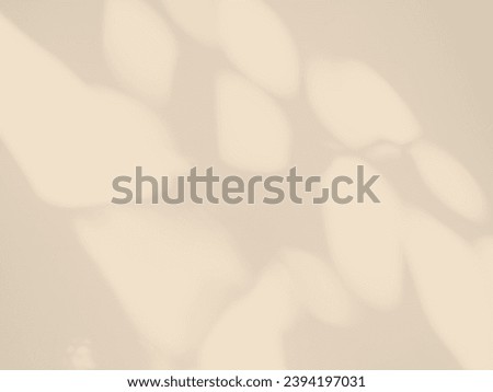 Autumn Background Beige Shadow Overlay 3d Light Minimal Design Mockup Product Empty Room Backdrop Cream Color Bg Summer Scene Place blur Leaf Template Space Thanksgiving Poster Minimal Cosmetic. 