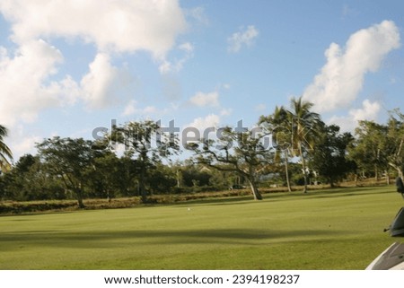 golf resort cocotal in the dominican republic beautiful park and green nature
