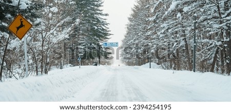 Beautiful snow road forest view during car driving in winter season. Winter travel, Road trip, Adventure, Exploring and Vacation concepts
