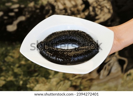Black Sea cucumbers on white plate in sea farming. Holothuria leucospilota are marine animals, echinoderms from the class Holothuroidea. They are used in fresh or dried form in various cuisines. Royalty-Free Stock Photo #2394272401