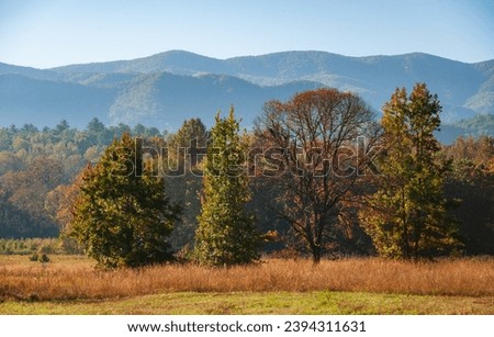Great Smoky Mountains National Park in North Carolina