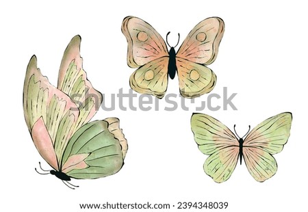 Set of watercolor Butterfly. Colorful Butterflies clipart. Hand drawn illustration for Baby shower, Wedding invitation, greeting card, isolated on white background.