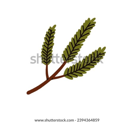 Green needle tree branch. Evergreen conifer twig. Coniferous plant, winter sprig. Christmas holiday decoration. Botanical natural decor. Flat vector illustration isolated on white background