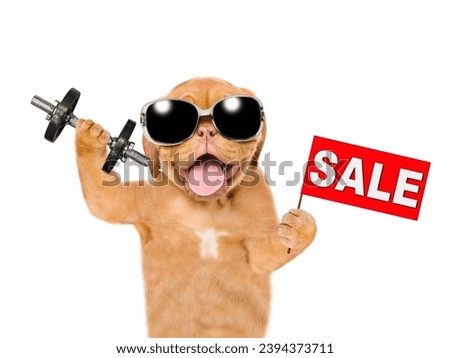 Happy Mastiff puppy wearing sunglasses lifts dumbbells and shows signboard with labeled "sale". isolated on white background