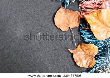 Welcome to the autumn atmosphere. Top view of warm blanket,gold leaves, on black background. Perfect for text or advertising