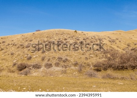 Stone hill with dry vegetation in mountainous area