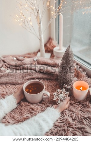 Cup of tea and ginger cookies in hands, winter mood.