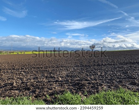 A lonely tree on the horizon stands at the junction of the blue sky with clouds and plowed lumps of wet soil after rain. Country landscape in Germany in sunny weather.