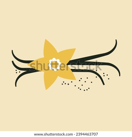 Vanilla flower with dried vanilla sticks. Abstract food cooking condiment vector illustration. Aromatic ingredient for cooking and sweet baking. Flat trendy abstract style. Royalty-Free Stock Photo #2394463707