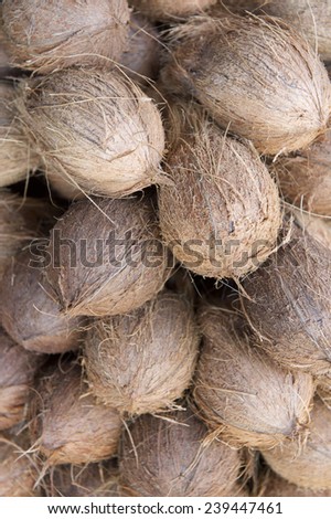 Textured background of stack of hairy brown coconuts in natural tropical light